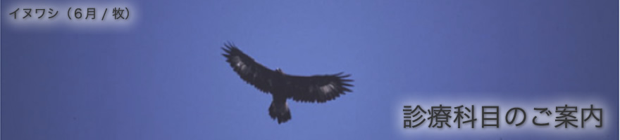 診療科目のご案内