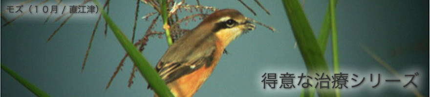 得意な治療シリーズ