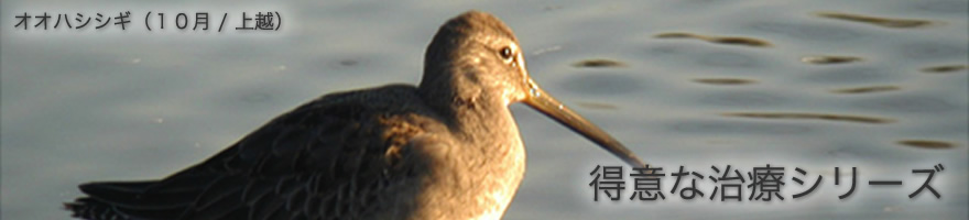 鼻からの内視鏡