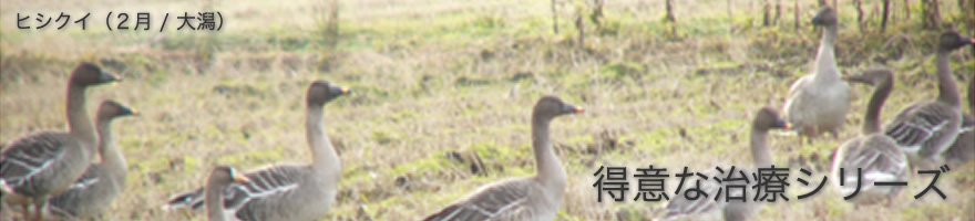 痛みをやわらげる治療