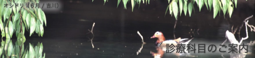 肺炎球菌ワクチン等