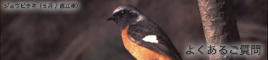 よくあるご質問