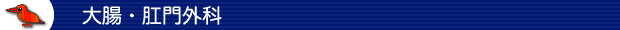 大腸・肛門外科