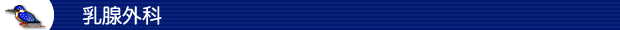 乳腺外科