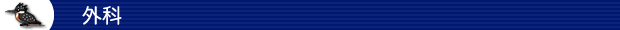 外科