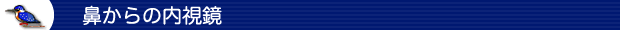 鼻からの内視鏡