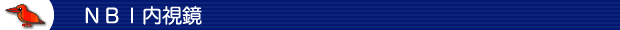 NBI内視鏡