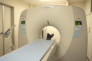 CTスキャン（ヘリカルスキャン）