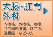 大腸・肛門外科