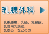 乳腺外科